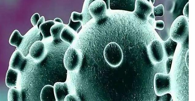 न्यूयॉर्क में कम हुआ कोरोना वायरस का असर  1 दिन में सबसे कम  